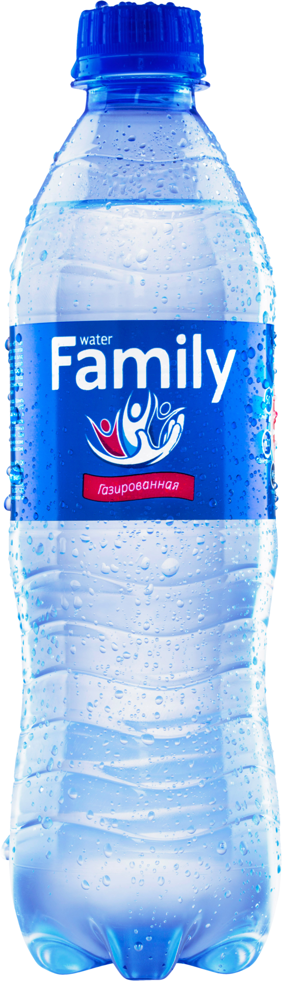 Вода питьевая газированная Family 0,5 л
