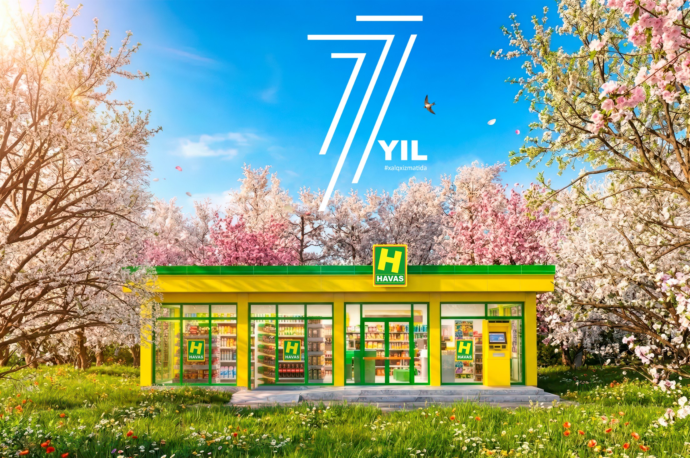 Havas 7 yoshda!